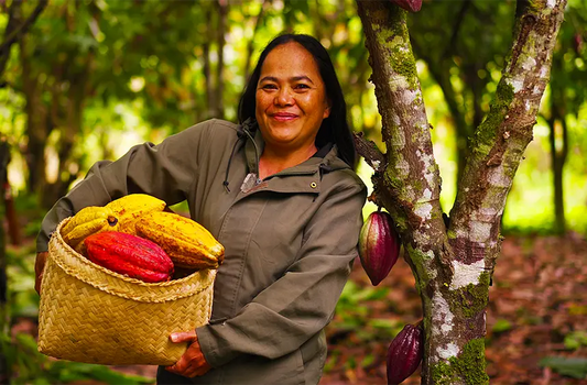 Nosso Cacau - Origem Bahia